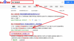 閃開新能源(海口)有限公司與海洋網絡簽署萬詞霸屏項目