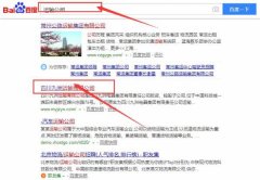四川九洲運輸有限公司和我公司簽訂百度快照排名項目