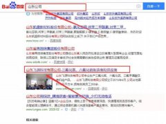 山東飛源科技有限公司與我司簽下關鍵詞搜索排名協議