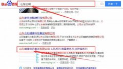 山東睿鷹制藥集團有限公司跟本公司簽訂網站推廣項目