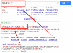 蘇州德凌迅動力科技有限公司與我司做網(wǎng)站建設項目