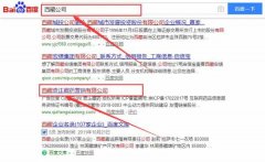 西藏奇正藏藥營銷有限公司與本司簽約SEO優化項目