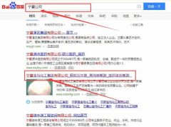 寧夏寶馬化工集團有限公司與本司簽約搜索引擎優化協議