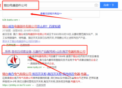 山東南洋電器有限公司與我司做網站建設項目