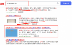 鹽城市*仕蘭照明電器有限公司和本公司簽約搜索引擎優化推廣合同