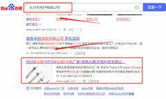 湖南*聯光電科技有限公司網站排名營銷+精準獲客
