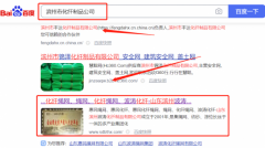 山東濱州*濤化纖制品有限公司網站推廣最快上詞效果展示