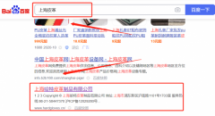 上海*特皮革制品有限公司萬(wàn)詞霸屏營(yíng)銷(xiāo)+精準(zhǔn)獲客