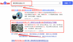 衡陽市重*科技有限公司優化排名案例欣賞