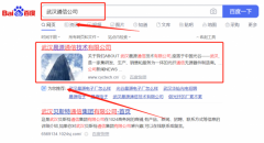 武漢晨*通信技術有限公司新站排名參考網站