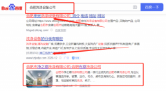 合肥市*之德洗滌有限公司SEO優化參考網站