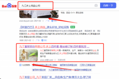 九江*麗家紡有限公司SEO參考網站