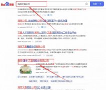 海南（潭*）文昌雞股份有限公司網站優化最快上詞效果展示