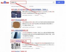 宜春市恒*電器有限公司網站優化排名效果展示