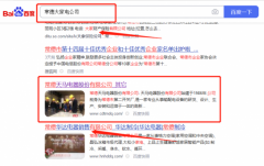 常德天馬*器股份有限公司網站SEO優化參考網站