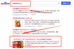 山東嘉*可潤滑油有限公司整站優化排名效果展示