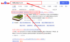 呼倫貝爾市隆順*源食品有限公司網站優化排名效果展示