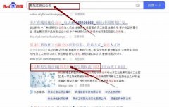 安達輝*生物醫藥科技有限公司網站優化排名效果展示