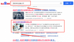 龍巖水*環境發展有限公司整站優化營銷+精準獲客