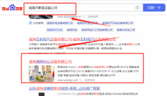 威海理*辦公設備有限公司新站排名快上詞效果展示