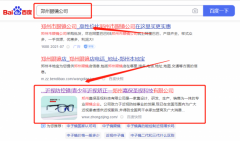 鄭州嘉*圣視科技有限公司網站排名保證在首頁效果