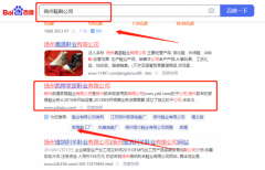 揚州凱*家居鞋業有限公司網站推廣策劃優質品牌