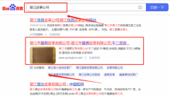 晉江市*暉皮革有限公司SEO品牌營銷策劃機構