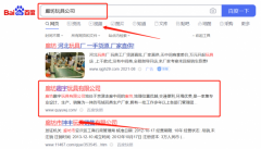 廊坊趣*玩具有限公司百度關鍵詞排名專注一站式品牌營銷整合推廣