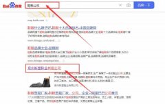 泉州新*鞋業(yè)有限公司網(wǎng)站推廣品牌營銷策劃機構(gòu)